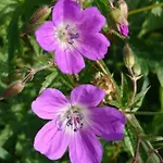 Sportpension Schober Self Check-in Casa de hóspedes 3*