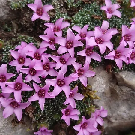 Gasthof Sportpension Schober