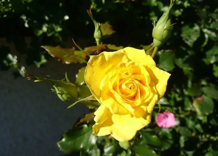 Sportpension Schober Self Check-in Penzion