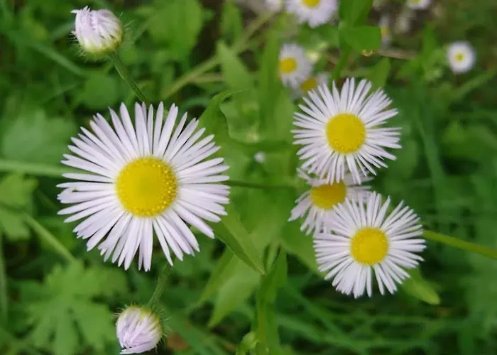 Sportpension Schober