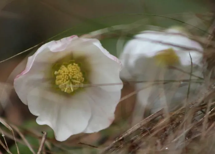 Sportpension Schober Self Check-in 3*