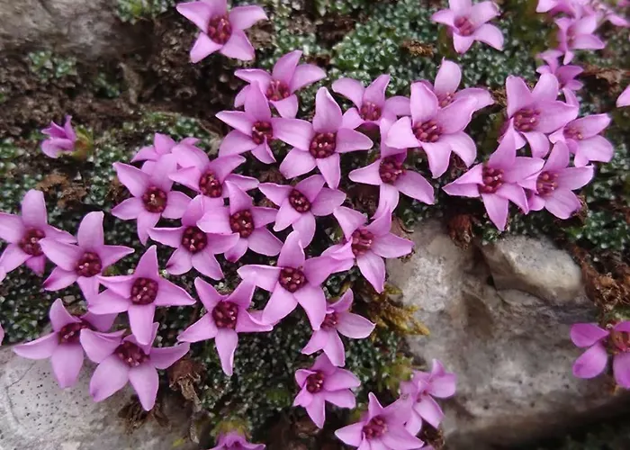 Gasthof Sportpension Schober