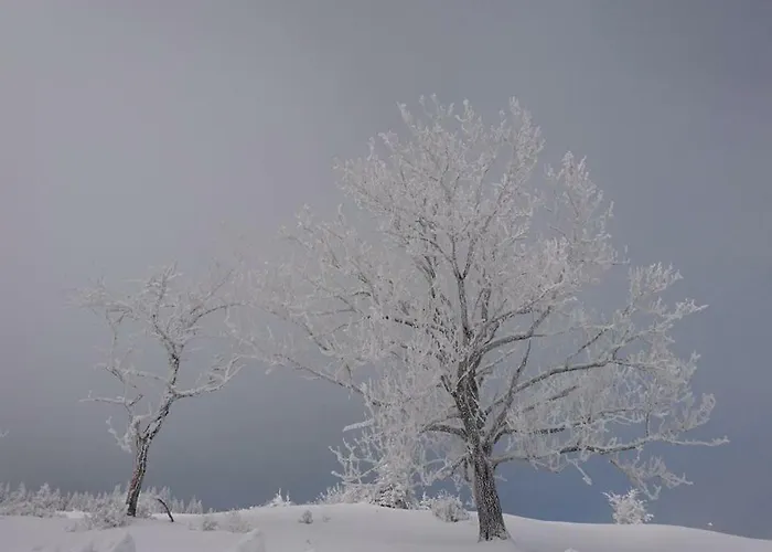 Sportpension Schober Self Check-in 3* Obertraun