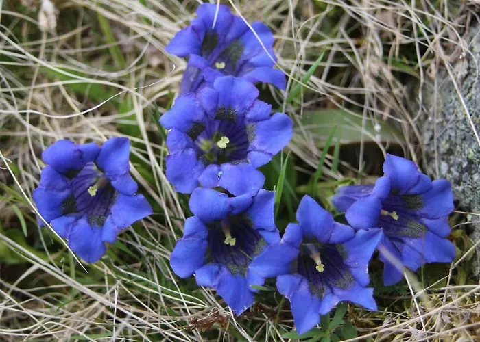 Penzion Sportpension Schober Self Check-in 3*