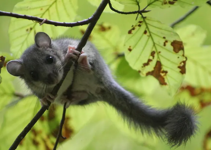 Sportpension Schober Self Check-in Penzion 3*