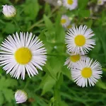 Sportpension Schober Self Check-in