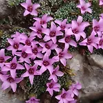 招待所 Sportpension Schober Self Check-in