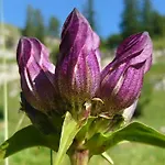 招待所 Sportpension Schober Self Check-in