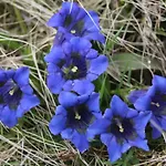 招待所 Sportpension Schober Self Check-in 3*