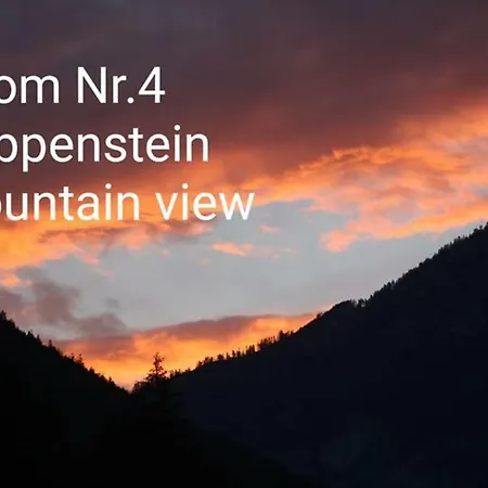 Gæstehus Sportpension Schober Self Check-in 3*