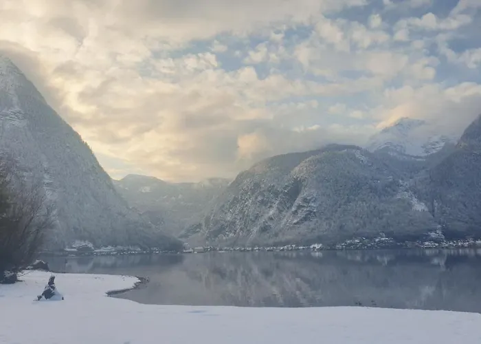 Sportpension Schober Self Check-in اوبرترون