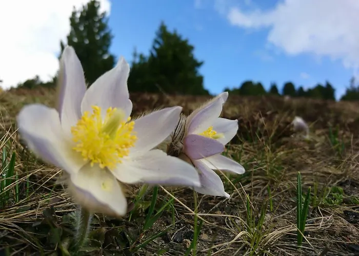 Sportpension Schober Self Check-in