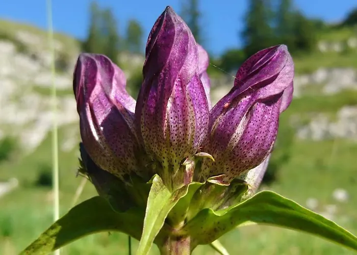 بيت ضيافة Sportpension Schober Self Check-in