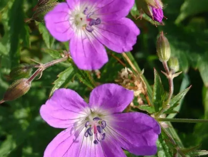 Sportpension Schober Self Check-in Penzion 3*